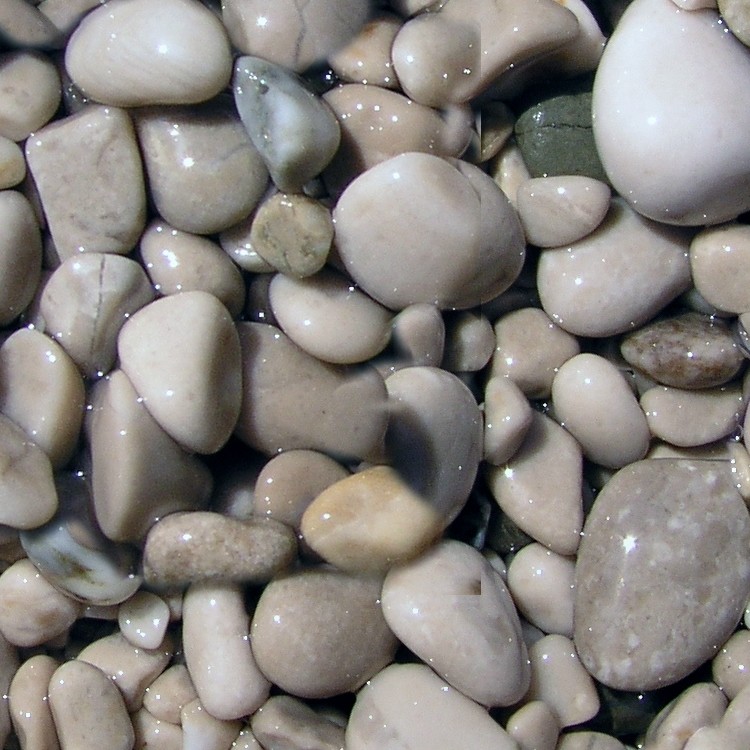 Textures   -   NATURE ELEMENTS   -   GRAVEL &amp; PEBBLES  - Wet pebbles stone texture seamless 12466 - HR Full resolution preview demo