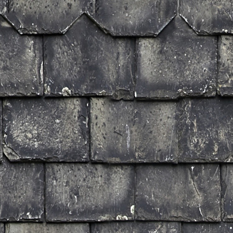 Textures   -   ARCHITECTURE   -   ROOFINGS   -   Slate roofs  - Dirty slate roofing texture seamless 03995 - HR Full resolution preview demo