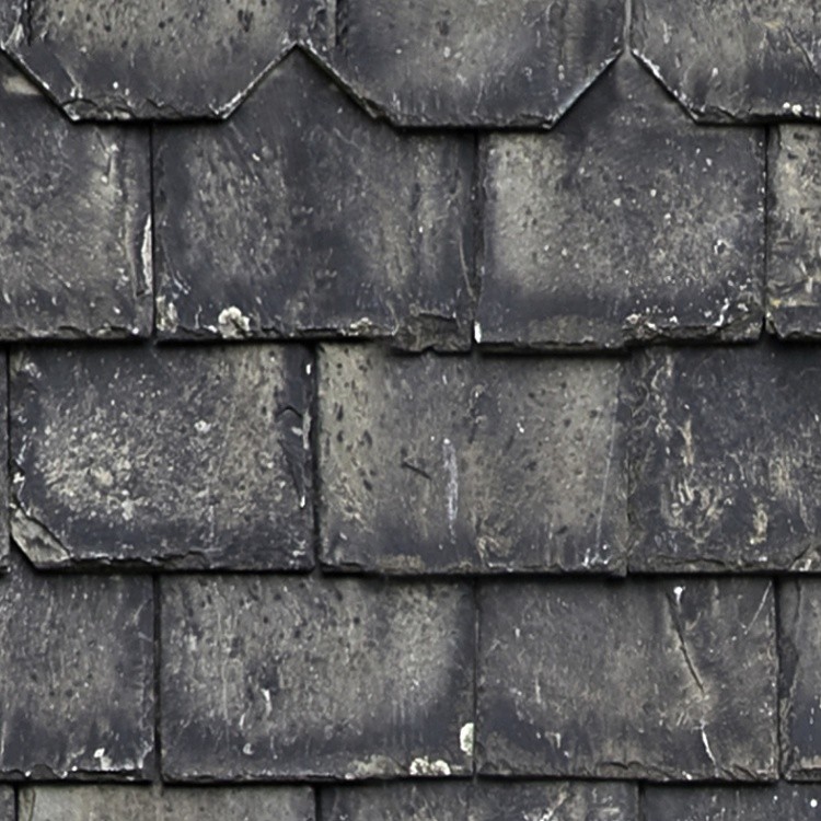 Textures   -   ARCHITECTURE   -   ROOFINGS   -   Slate roofs  - Dirty slate roofing texture seamless 03995 - HR Full resolution preview demo