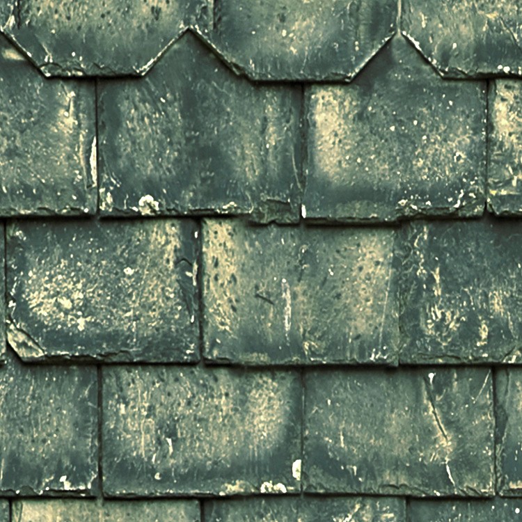 Textures   -   ARCHITECTURE   -   ROOFINGS   -   Slate roofs  - Dirty slate roofing texture seamless 03998 - HR Full resolution preview demo