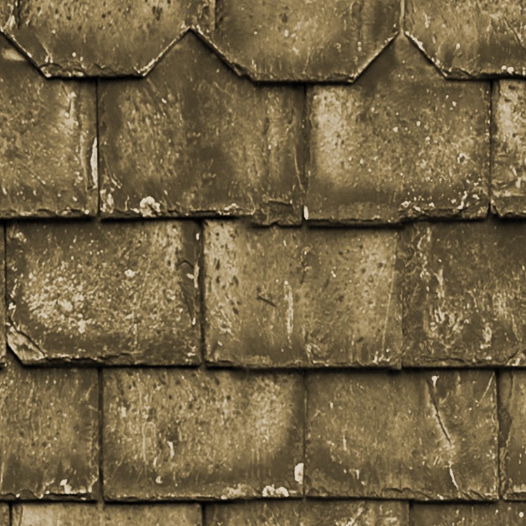 Textures   -   ARCHITECTURE   -   ROOFINGS   -   Slate roofs  - Dirty slate roofing texture seamless 03999 - HR Full resolution preview demo