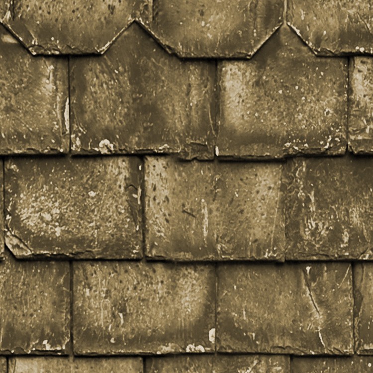 Dirty Slate Roofing Texture Seamless 03999