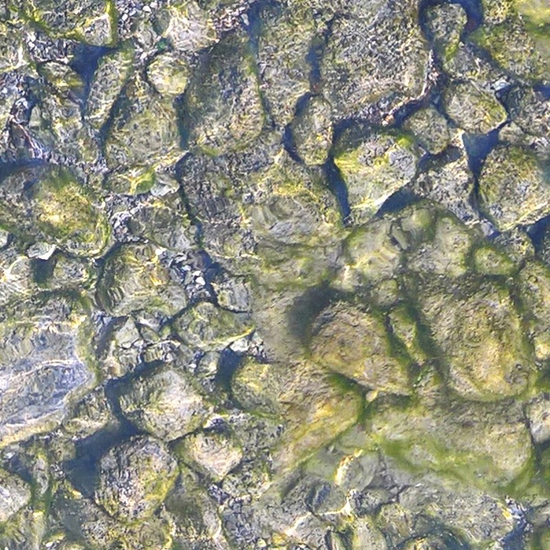 Textures   -   NATURE ELEMENTS   -   GRAVEL &amp; PEBBLES  - Pebbles under water texture seamless 18212 - HR Full resolution preview demo