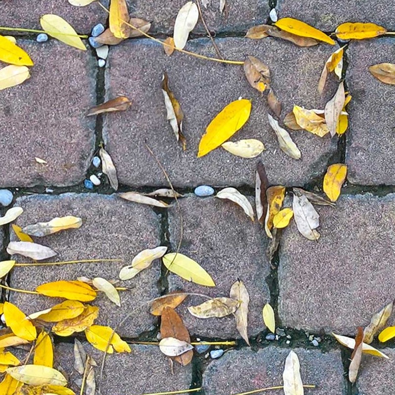 Textures   -   ARCHITECTURE   -   ROADS   -   Paving streets   -   Cobblestone  - Cobblestone with leaves dead texture seamless 20537 - HR Full resolution preview demo