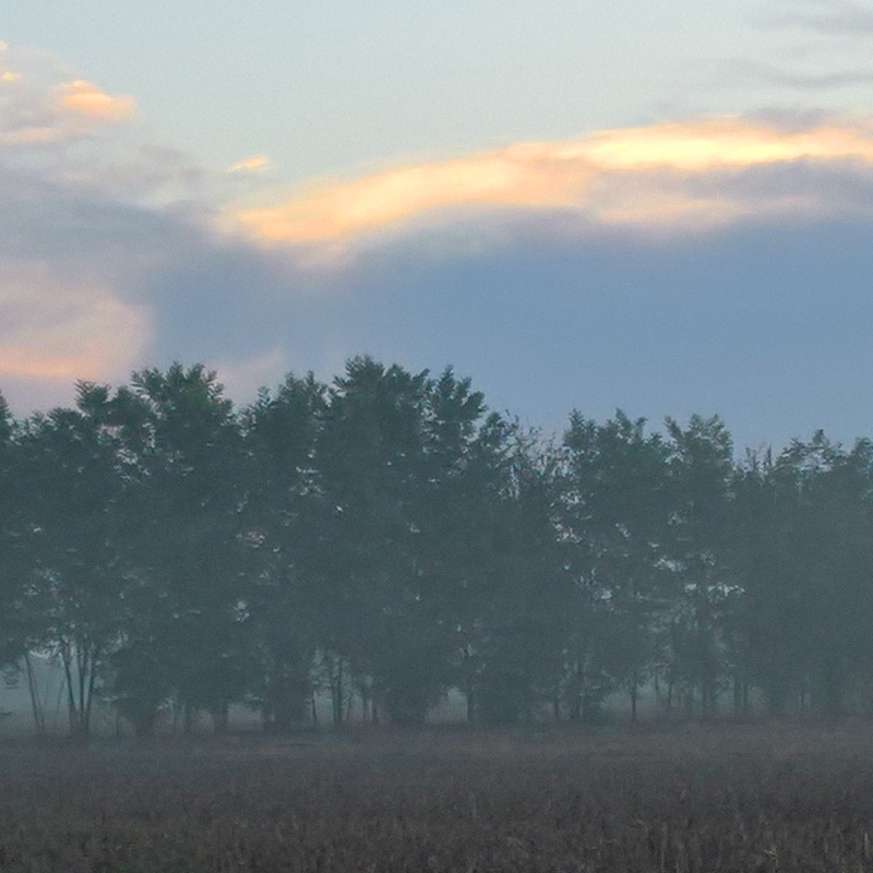 Textures   -   BACKGROUNDS &amp; LANDSCAPES   -   NATURE   -   Countrysides &amp; Hills  - Foggy morning in the countryside landscape 18405 - HR Full resolution preview demo