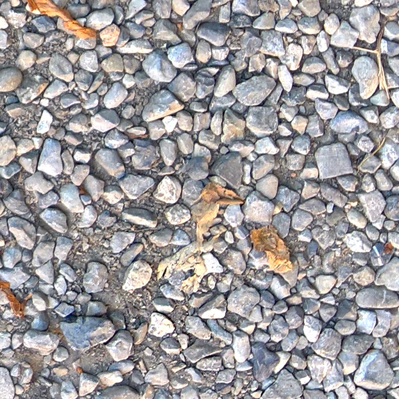 Textures   -   NATURE ELEMENTS   -   GRAVEL &amp; PEBBLES  - Gravel with leaves texture seamless 18229 - HR Full resolution preview demo