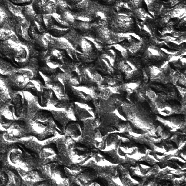 Textures   -   MATERIALS   -   METALS   -   Plates  - Embossing cromed metal plate texture seamless 10698 - HR Full resolution preview demo