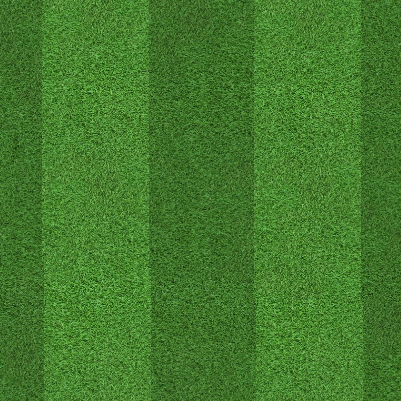 Textures   -   NATURE ELEMENTS   -   VEGETATION   -   Green grass  - Football green grass texture seamless 18716 - HR Full resolution preview demo