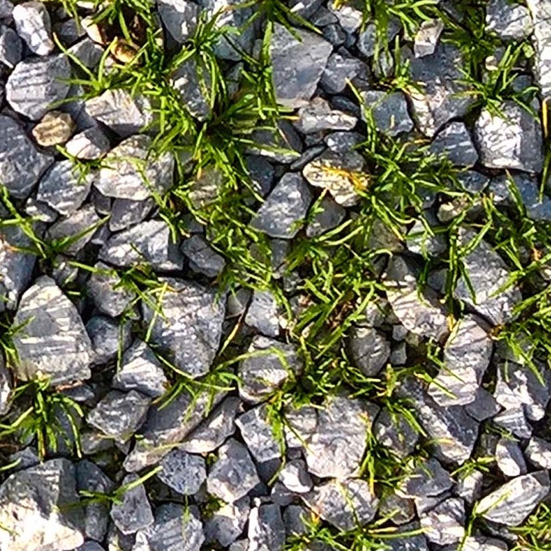 Textures   -   NATURE ELEMENTS   -   GRAVEL &amp; PEBBLES  - Pebbles with grass texture seamless 20453 - HR Full resolution preview demo