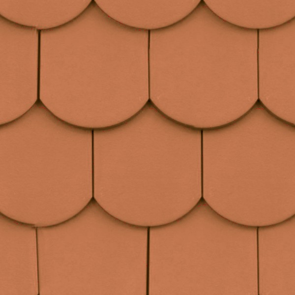 Shingle Clay Roof Tile Texture Seamless 03491