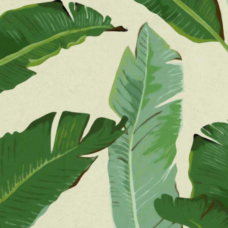 Buy Tropical Banana leaf Art Print On Paper Online at Jayporecom