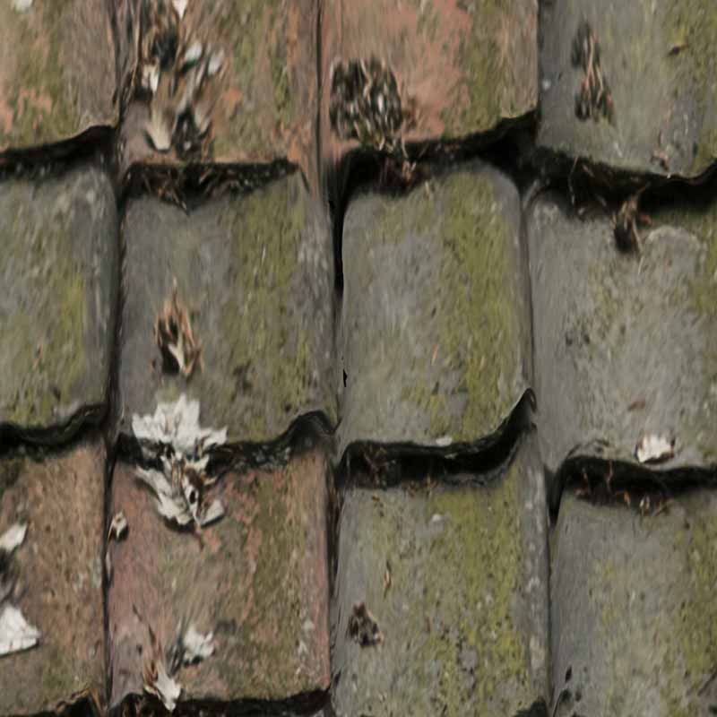 Textures   -   ARCHITECTURE   -   ROOFINGS   -   Clay roofs  - Clay roof with leaves texture seamless 21258 - HR Full resolution preview demo