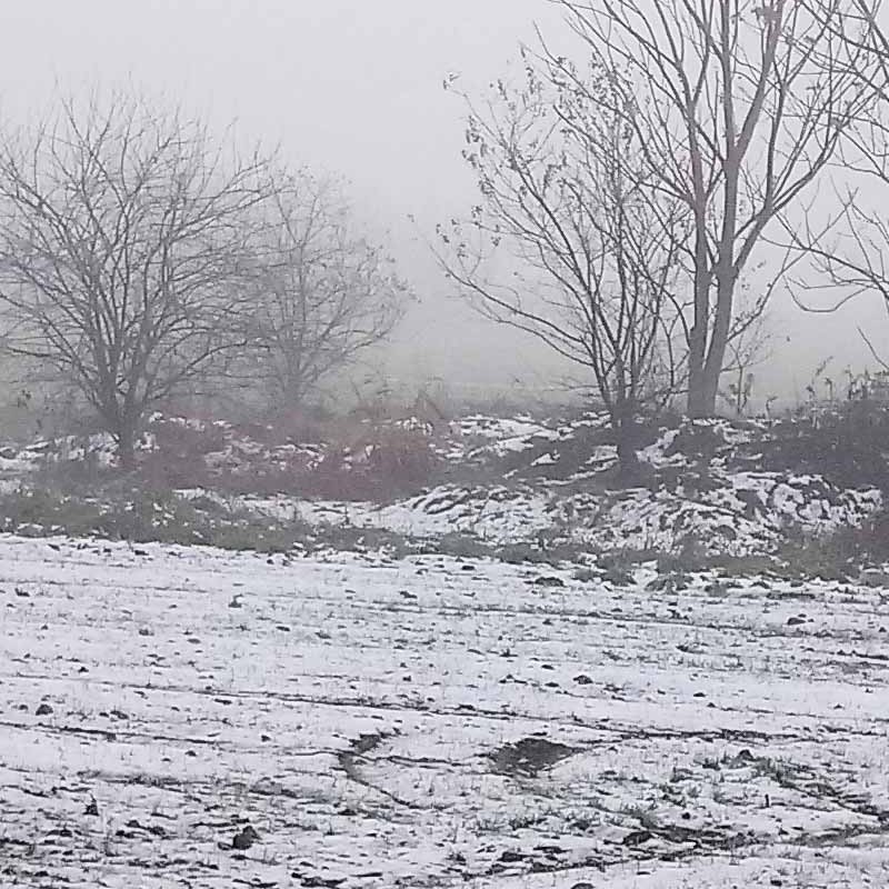 Textures   -   BACKGROUNDS &amp; LANDSCAPES   -   NATURE   -   Countrysides &amp; Hills  - First snowfall with countryside background 21157 - HR Full resolution preview demo