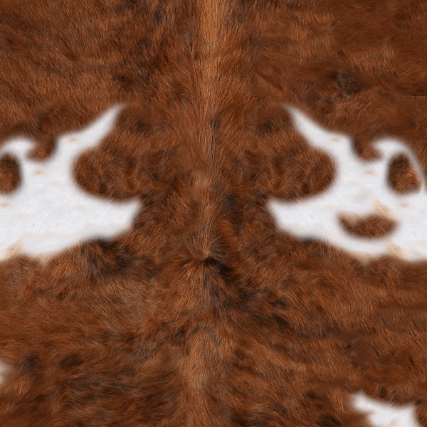 Textures   -   MATERIALS   -   RUGS   -   Cowhides rugs  - Cow leather rug texture 20009 - HR Full resolution preview demo