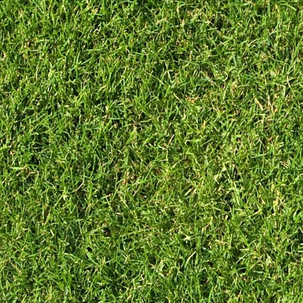 Textures   -   NATURE ELEMENTS   -   VEGETATION   -   Green grass  - Green grass texture seamless 12967 - HR Full resolution preview demo