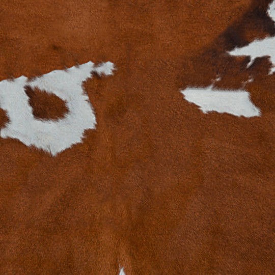 Textures   -   MATERIALS   -   RUGS   -   Cowhides rugs  - Cow leather rug texture 20018 - HR Full resolution preview demo
