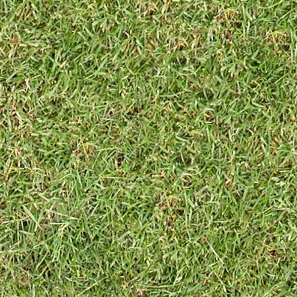 Textures   -   NATURE ELEMENTS   -   VEGETATION   -   Green grass  - Green grass texture seamless 12976 - HR Full resolution preview demo