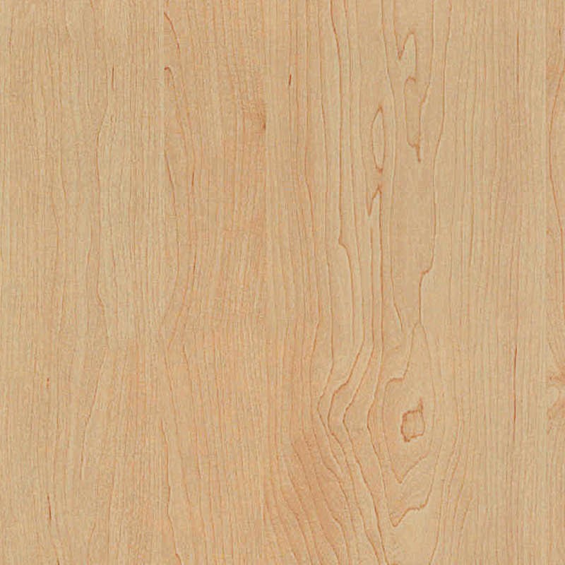 Textures   -   ARCHITECTURE   -   WOOD   -   Fine wood   -   Light wood  - Sycomore light wood fine texture 04392 - HR Full resolution preview demo