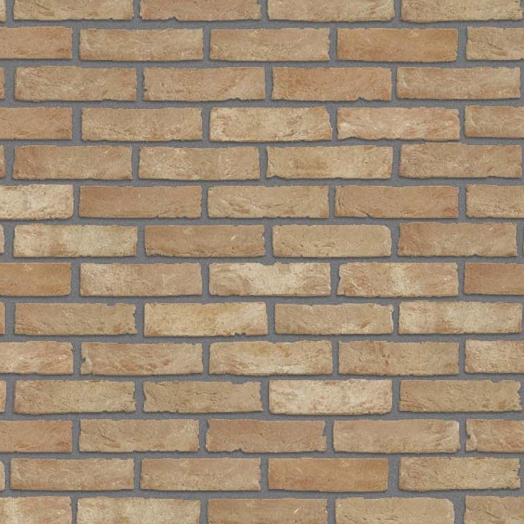 Textures   -   ARCHITECTURE   -   BRICKS   -   Facing Bricks   -   Rustic  - Rustic bricks texture seamless 17195 - HR Full resolution preview demo