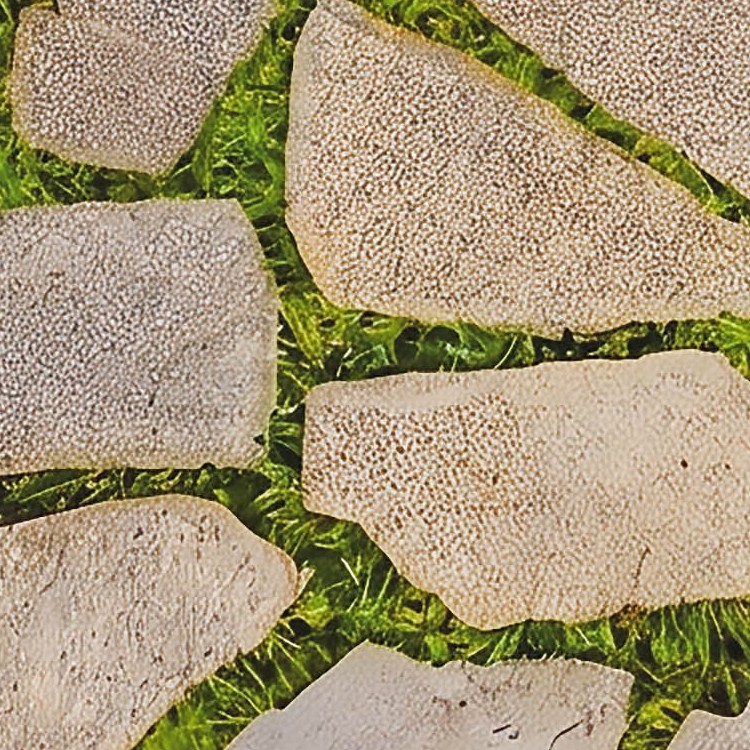 Textures - ARCHITECTURE - PAVING OUTDOOR - Flagstone - Flagstone paving pbr texture seamless 22664 - HR Full resolution preview demo