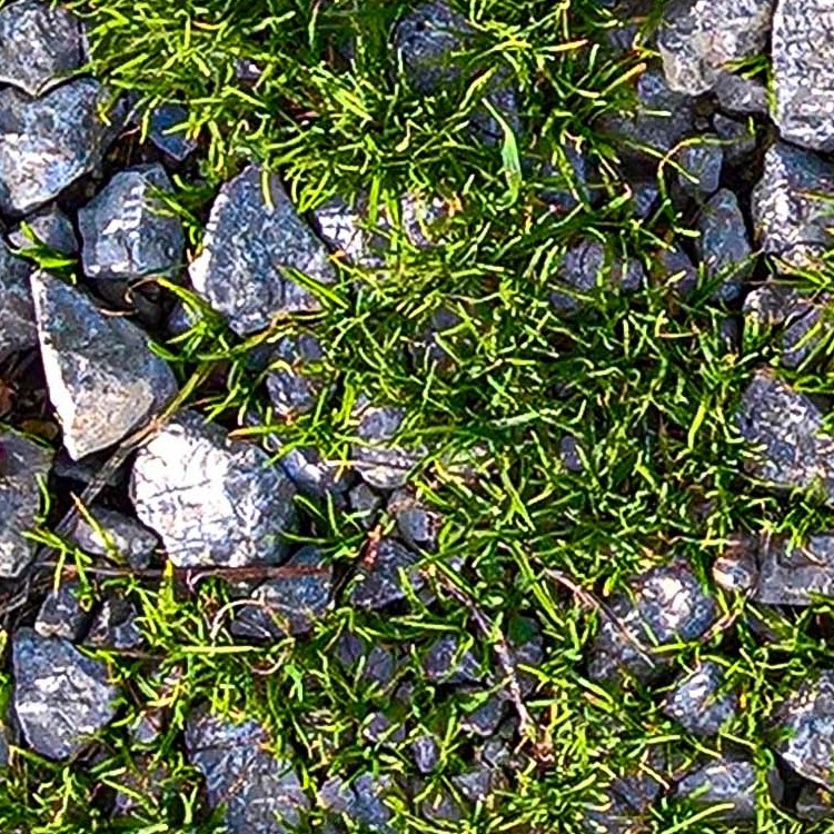 Textures   -   NATURE ELEMENTS   -   GRAVEL &amp; PEBBLES  - Pebbles with grass texture seamless 20467 - HR Full resolution preview demo