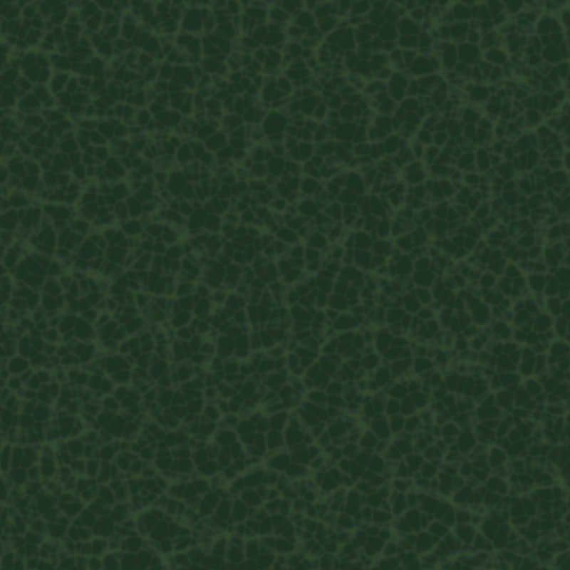 Textures   -   MATERIALS   -   LEATHER  - Green leather PBR texture seamless 22085 - HR Full resolution preview demo