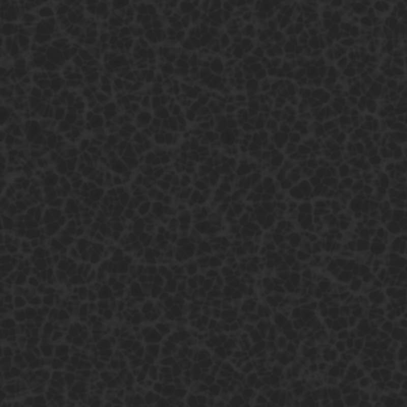 Textures   -   MATERIALS   -   LEATHER  - Black leather PBR texture seamless 22088 - HR Full resolution preview demo