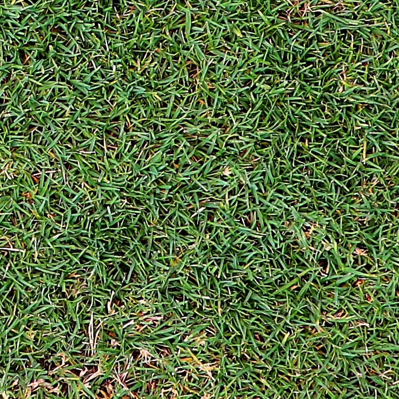 Textures   -   NATURE ELEMENTS   -   VEGETATION   -   Green grass  - Green grass PBR texture seamless 21999 - HR Full resolution preview demo