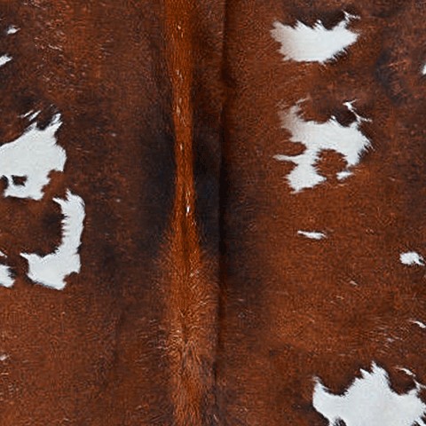 Textures   -   MATERIALS   -   RUGS   -   Cowhides rugs  - Cow leather rug texture 20023 - HR Full resolution preview demo