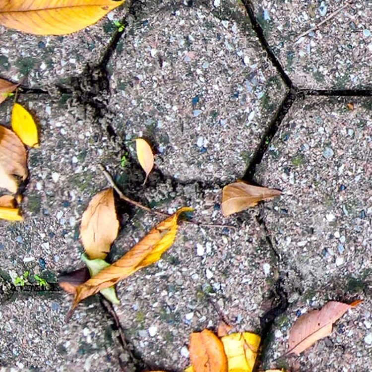 Textures   -   ARCHITECTURE   -   PAVING OUTDOOR   -   Concrete   -   Blocks regular  - Concrete paving outdoor with dead leaves texture seamless 19253 - HR Full resolution preview demo