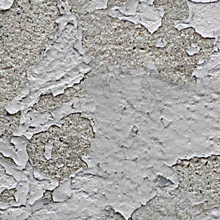 Textures   -   ARCHITECTURE   -   CONCRETE   -   Bare   -   Damaged walls  - Concrete bare damaged texture seamles 01376 - HR Full resolution preview demo