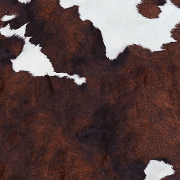 Textures   -   MATERIALS   -   RUGS   -   Cowhides rugs  - Cow leather rug texture 20024 - HR Full resolution preview demo