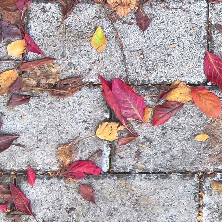 Textures   -   ARCHITECTURE   -   PAVING OUTDOOR   -   Concrete   -   Blocks regular  - Concrete paving outdoor with dead leaves texture seamless 19281 - HR Full resolution preview demo