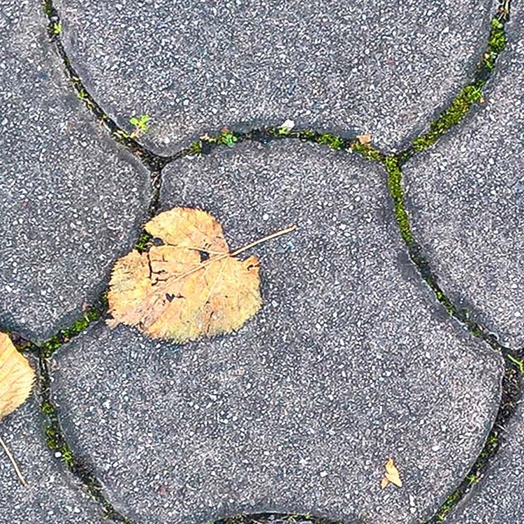 Textures   -   ARCHITECTURE   -   PAVING OUTDOOR   -   Concrete   -   Blocks regular  - Concrete paving outdoor with dead leaves texture seamless 19342 - HR Full resolution preview demo