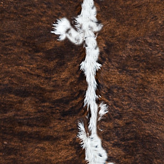 Textures   -   MATERIALS   -   RUGS   -   Cowhides rugs  - Cow leather rug texture 20025 - HR Full resolution preview demo