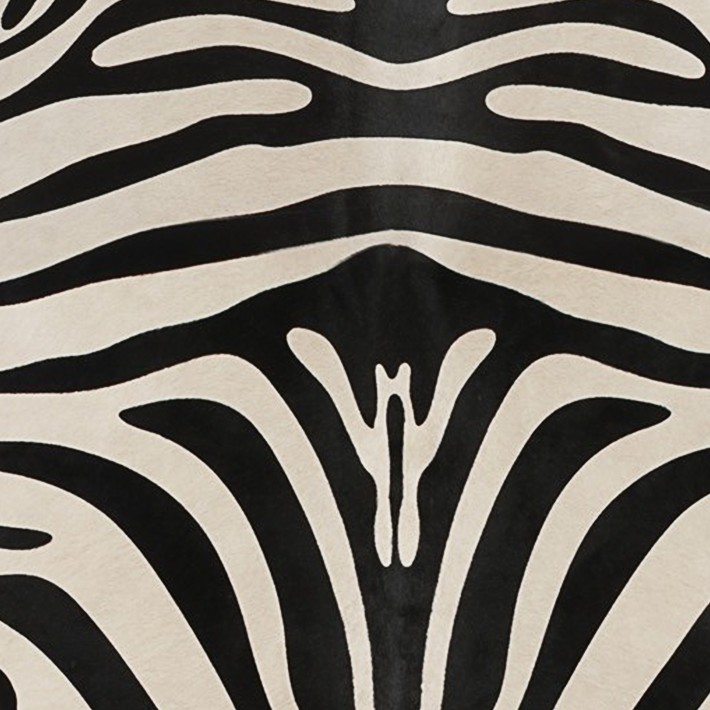 Textures   -   MATERIALS   -   RUGS   -   Cowhides rugs  - Cow leather rug zebra printed texture 20029 - HR Full resolution preview demo