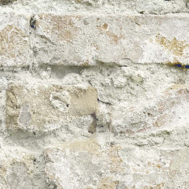 Textures   -   ARCHITECTURE   -   BRICKS   -   Dirty Bricks  - Dirty bricks texture seamless 00172 - HR Full resolution preview demo