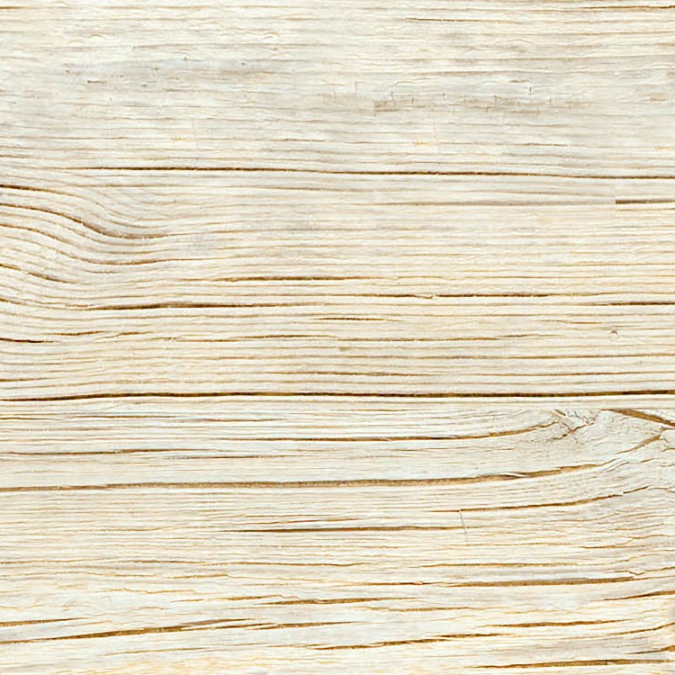 Textures   -   ARCHITECTURE   -   WOOD   -   Fine wood   -   Light wood  - White old raw wood texture seamless 04322 - HR Full resolution preview demo