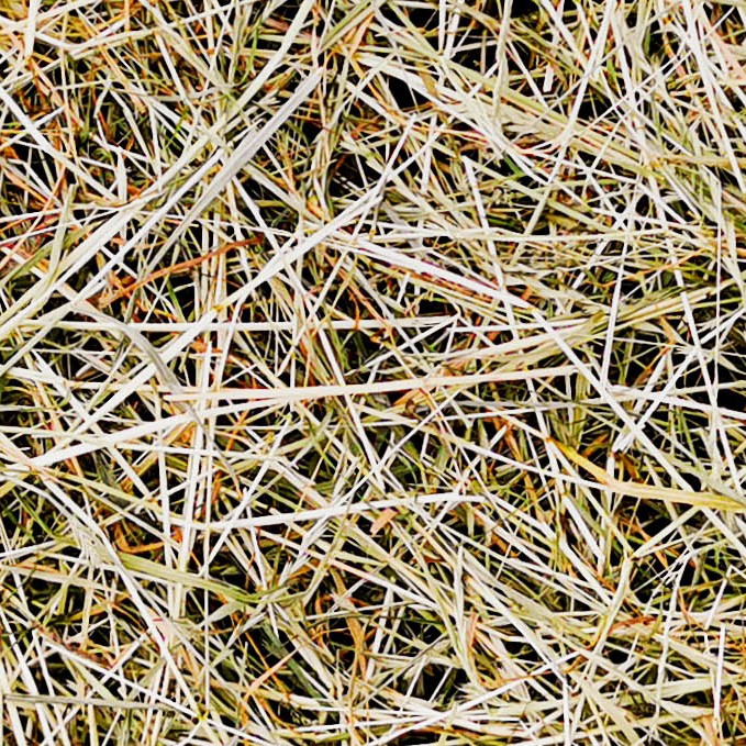 Textures   -   NATURE ELEMENTS   -   VEGETATION   -   Dry grass  - Hay PBR texture seamless 21903 - HR Full resolution preview demo
