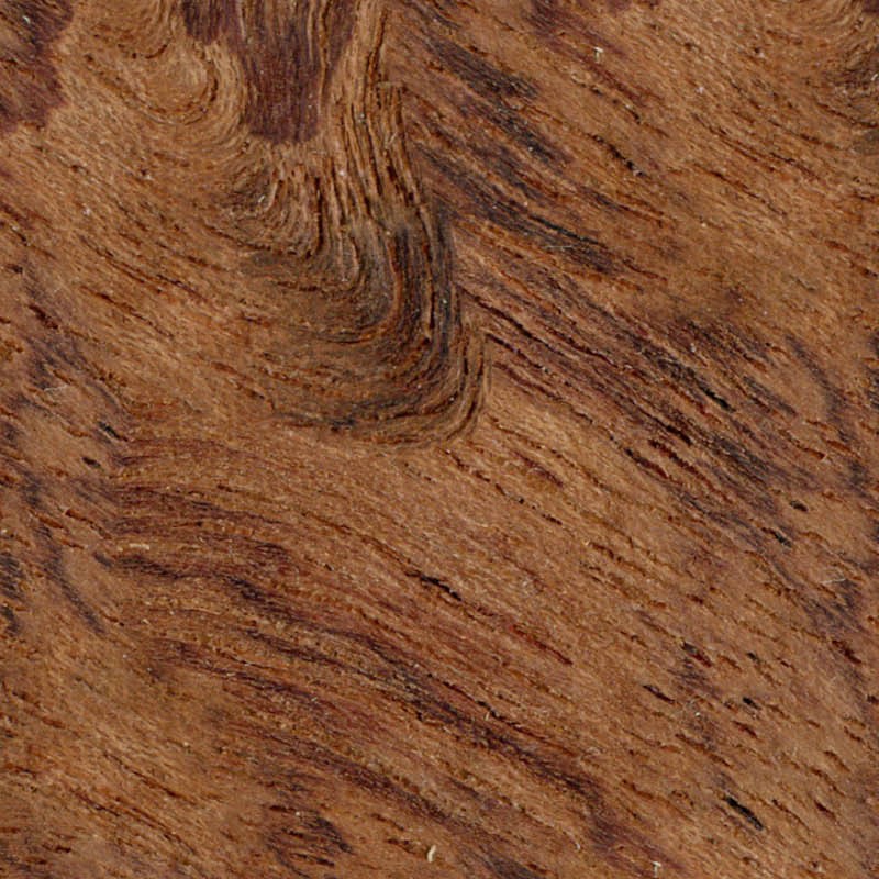 Textures   -   ARCHITECTURE   -   WOOD   -   Fine wood   -   Medium wood  - Bubinga wood fine medium color texture seamless 04435 - HR Full resolution preview demo