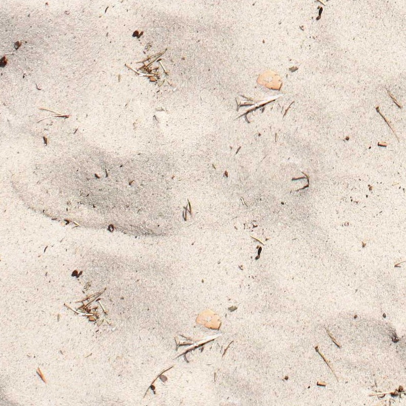 Textures   -   NATURE ELEMENTS   -   SAND  - Beach sand texture seamless 12703 - HR Full resolution preview demo