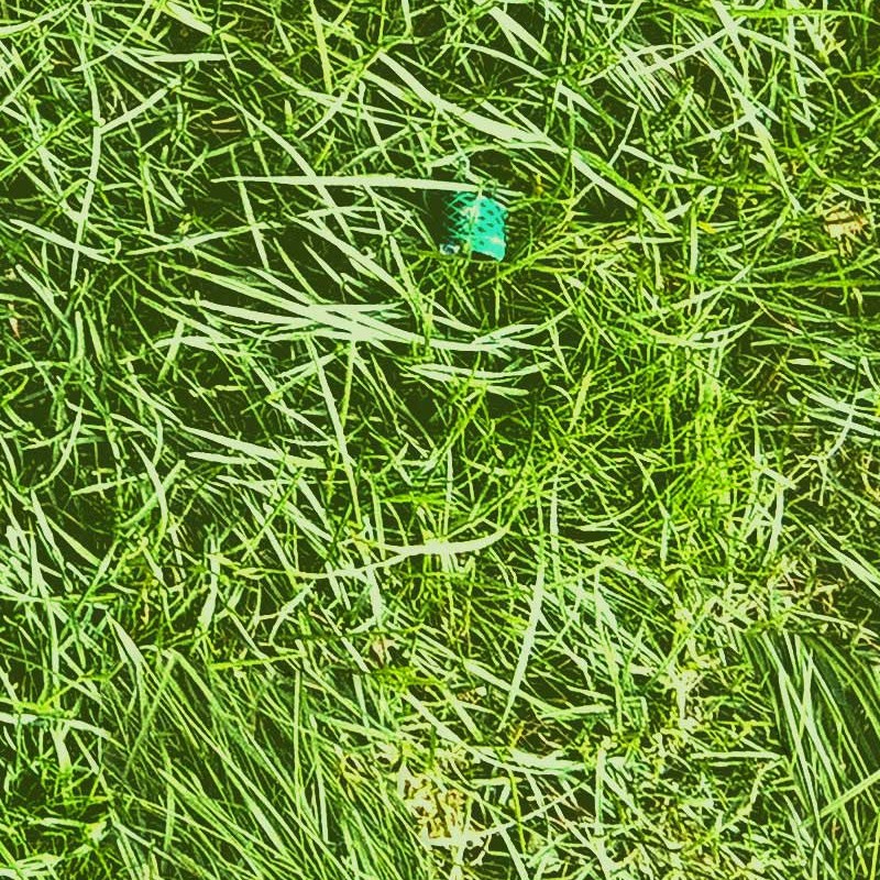 Textures   -   NATURE ELEMENTS   -   VEGETATION   -   Green grass  - Green grass texture seamless 12970 - HR Full resolution preview demo