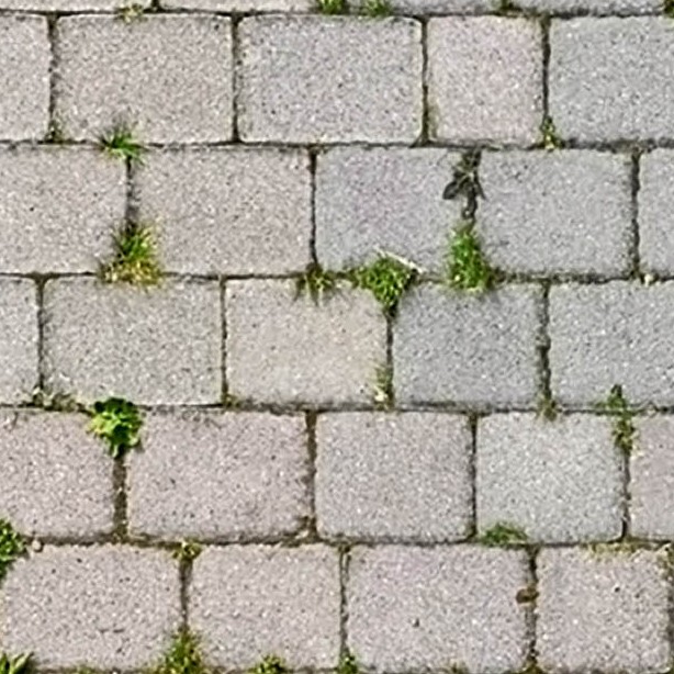 Textures   -   ARCHITECTURE   -   PAVING OUTDOOR   -   Concrete   -   Blocks regular  - Paving outdoor concrete regular block texture seamless 05665 - HR Full resolution preview demo