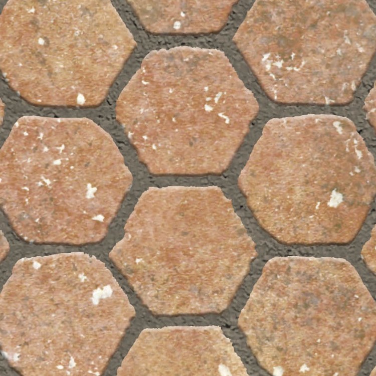 Textures   -   ARCHITECTURE   -   PAVING OUTDOOR   -   Hexagonal  - Terracotta paving outdoor hexagonal texture seamless 06023 - HR Full resolution preview demo