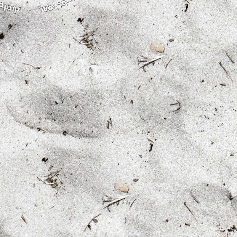 Textures   -   NATURE ELEMENTS   -   SAND  - Beach sand texture seamless 12704 - HR Full resolution preview demo