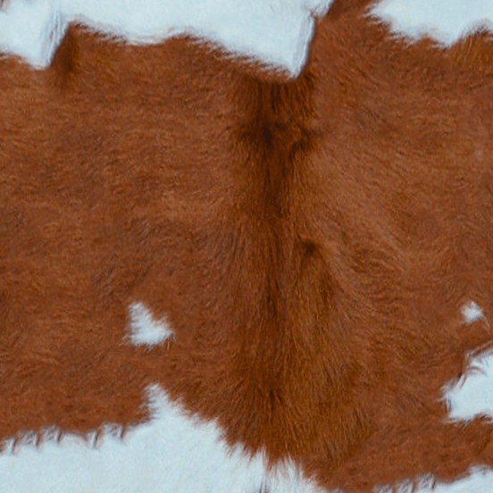 Textures   -   MATERIALS   -   RUGS   -   Cowhides rugs  - Cow leather rug texture 20013 - HR Full resolution preview demo
