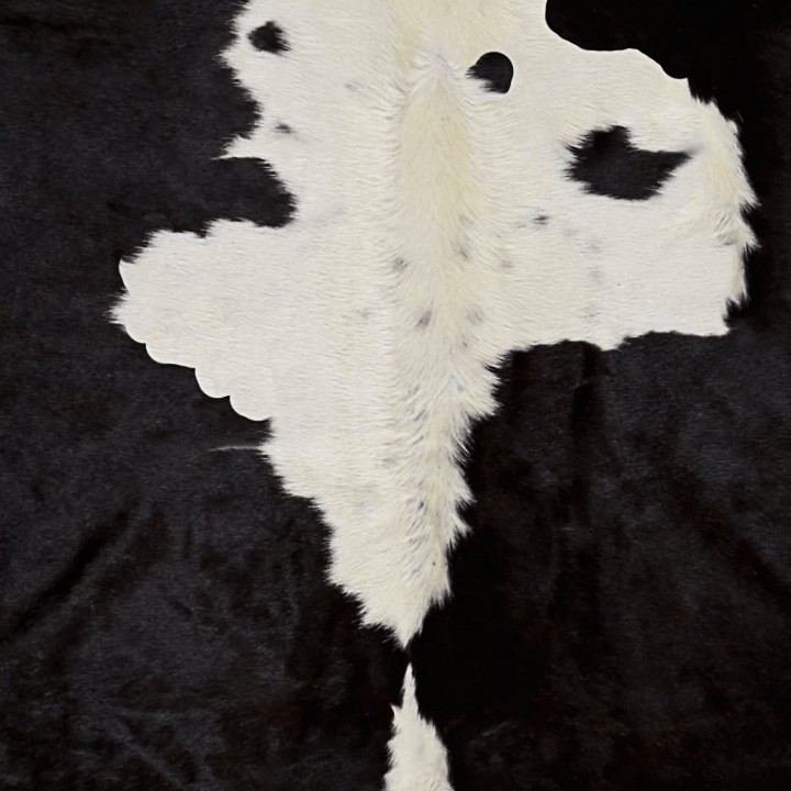 Textures   -   MATERIALS   -   RUGS   -   Cowhides rugs  - Cow leather rug texture 20014 - HR Full resolution preview demo