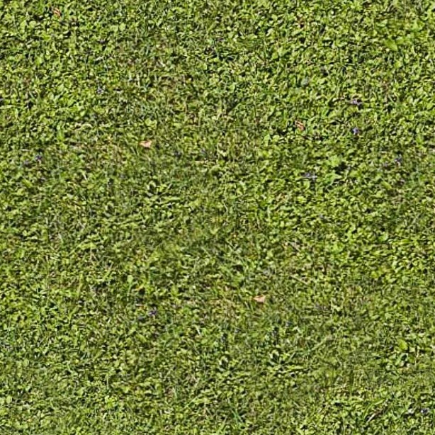 Textures   -   NATURE ELEMENTS   -   VEGETATION   -   Green grass  - Green grass texture seamless 12972 - HR Full resolution preview demo