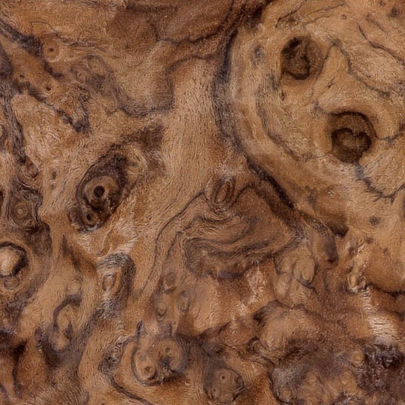 Textures   -   ARCHITECTURE   -   WOOD   -   Fine wood   -   Medium wood  - Walnut burl wood fine medium color texture seamless 04464 - HR Full resolution preview demo