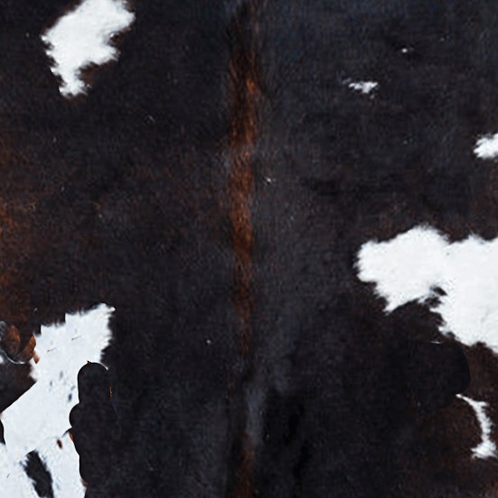 Textures   -   MATERIALS   -   RUGS   -   Cowhides rugs  - Cow leather rug texture 20015 - HR Full resolution preview demo